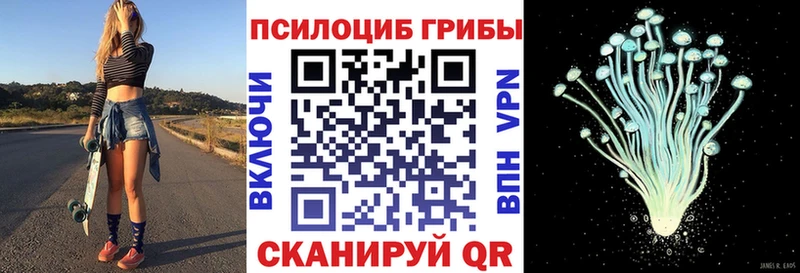 Галлюциногенные грибы Psilocybine cubensis  Знаменск 