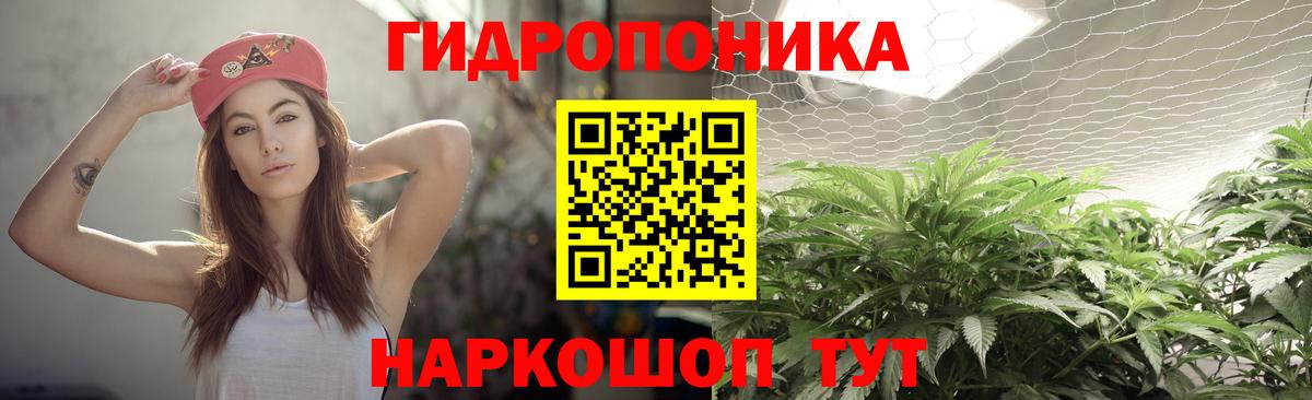 Знаменск  МАРИХУАНА план  Вход с VPN  Бошки Шишки OG Kush 